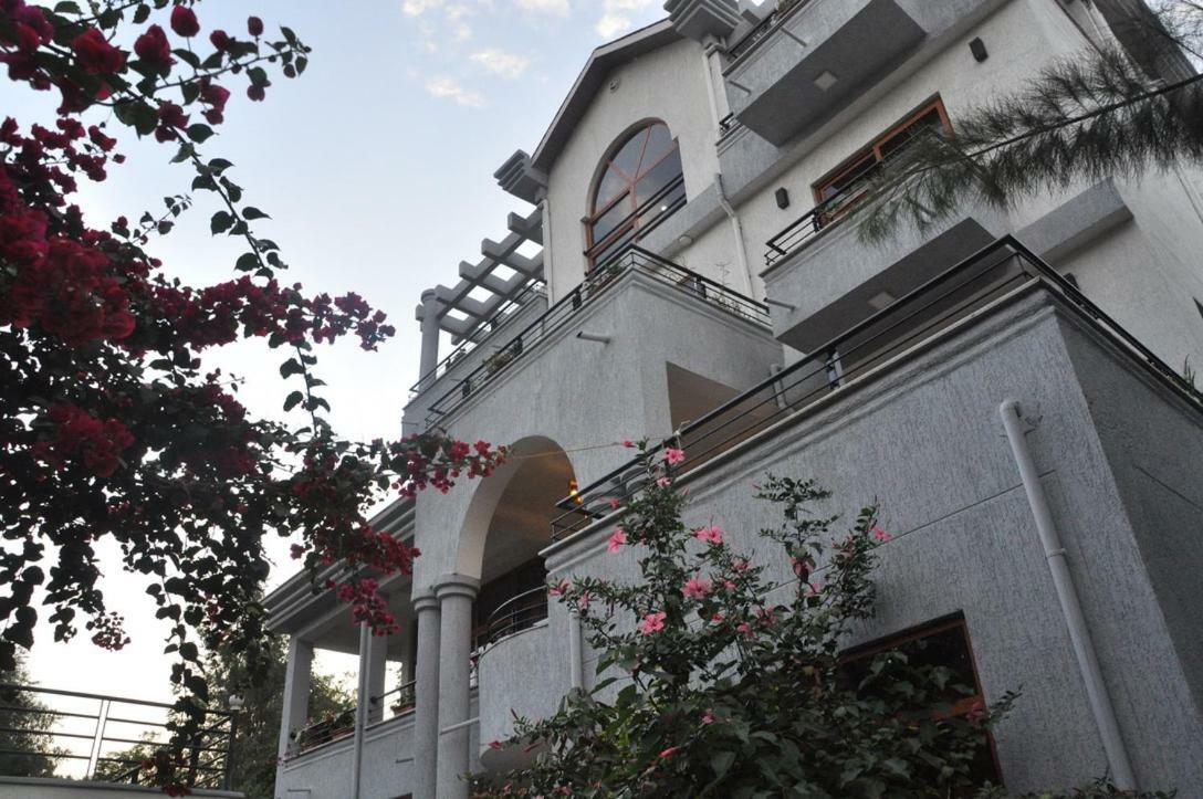 Inn Of The Four Sisters Gondar Dış mekan fotoğraf